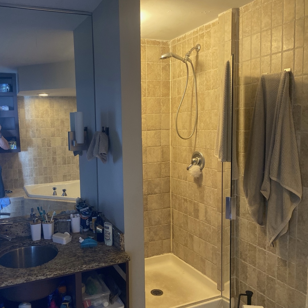 655 W Irving Park Road 5005 Property Photo 4