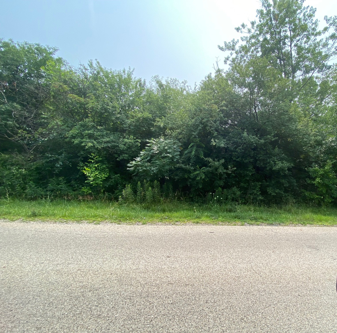 12535 W Blanchard Road Property Photo 7
