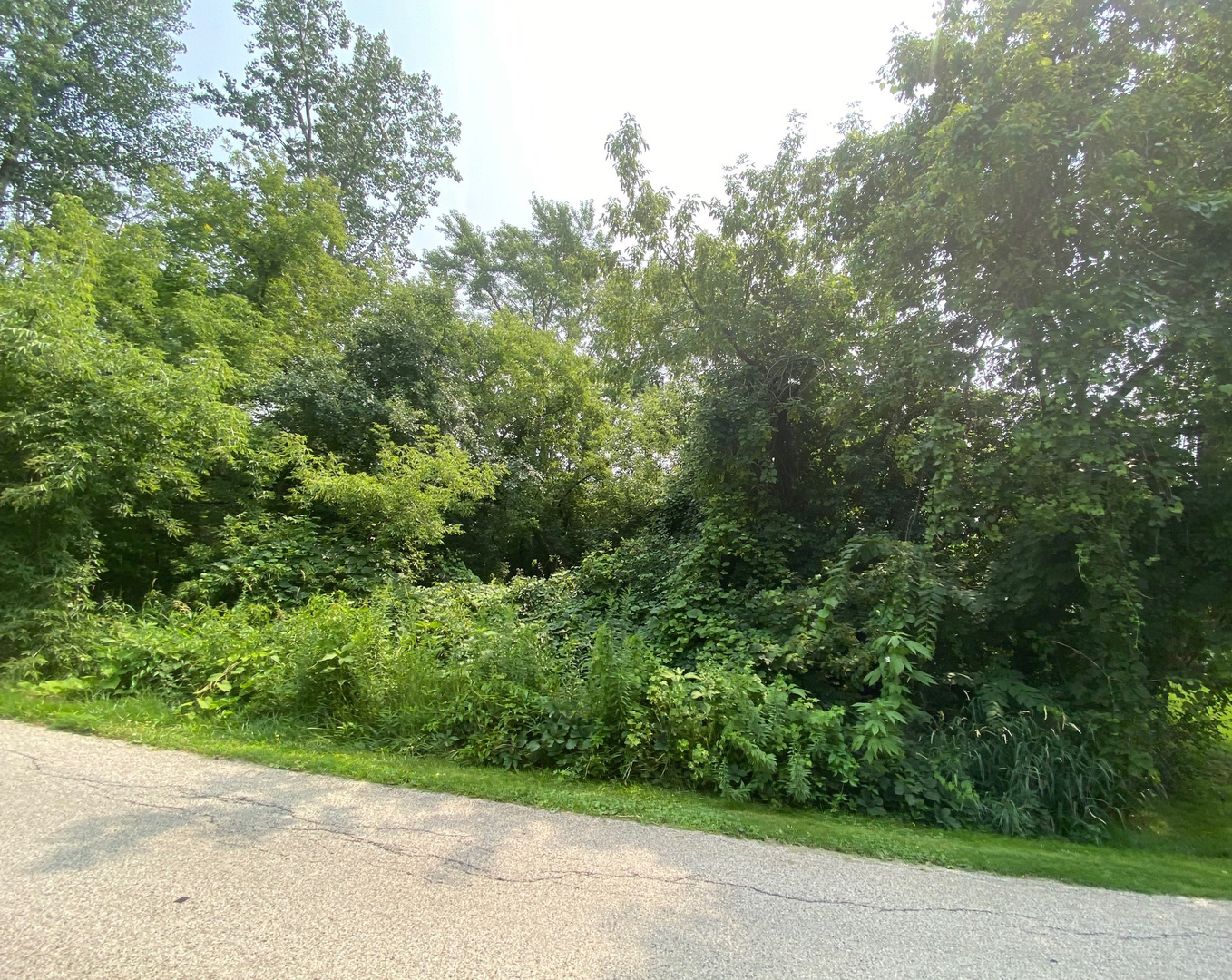 12535 W Blanchard Road Property Photo 8