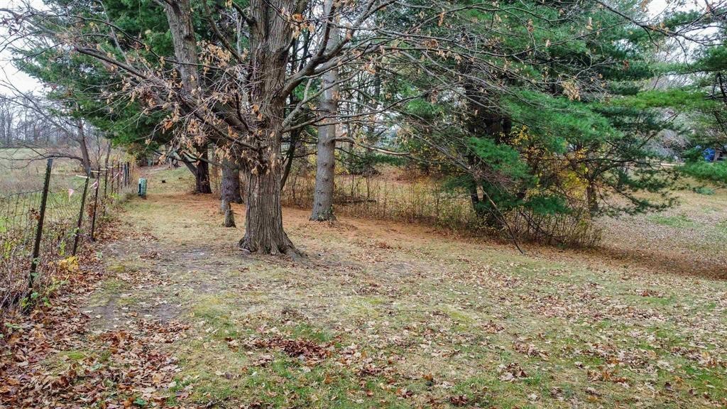8133 Harvest Hills Drive Property Photo 7