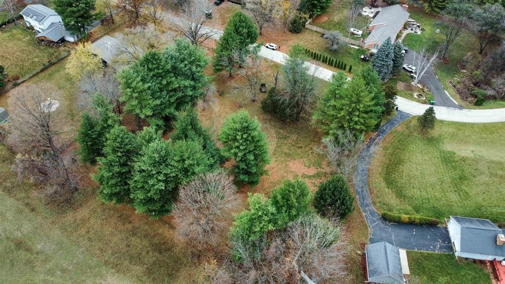 8133 Harvest Hills Drive Property Photo 10