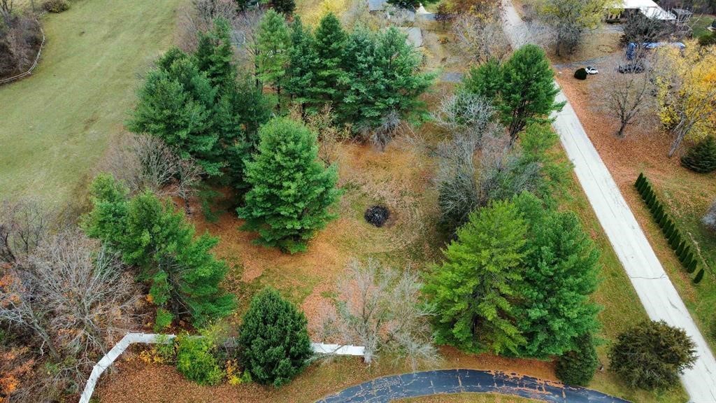 8133 Harvest Hills Drive Property Photo 12