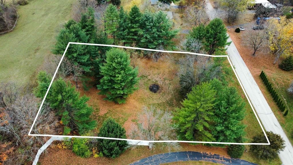 8133 Harvest Hills Drive Property Photo 15