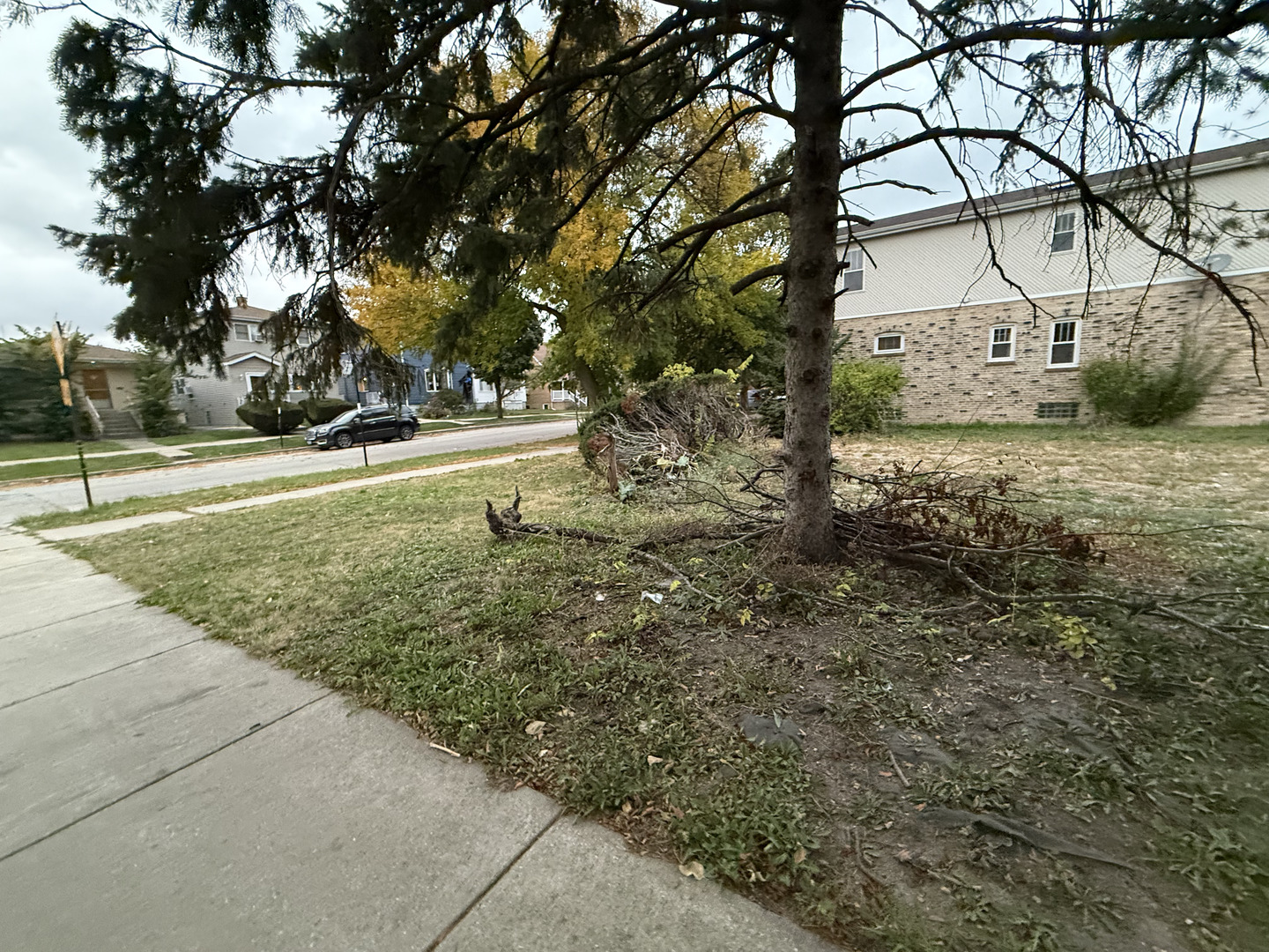 Lot 2 5401 N Mont Clare Avenue Property Photo 5