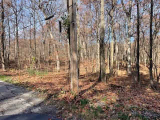 2096 Wolpers Road Property Photo 3