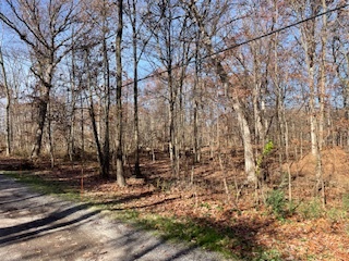 2096 Wolpers Road Property Photo 4