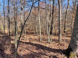 2096 Wolpers Road Property Photo 6