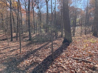 2096 Wolpers Road Property Photo 8