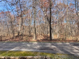 2096 Wolpers Road Property Photo 9