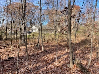 2096 Wolpers Road Property Photo 13