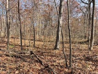 2096 Wolpers Road Property Photo 14