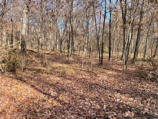 2096 Wolpers Road Property Photo 18