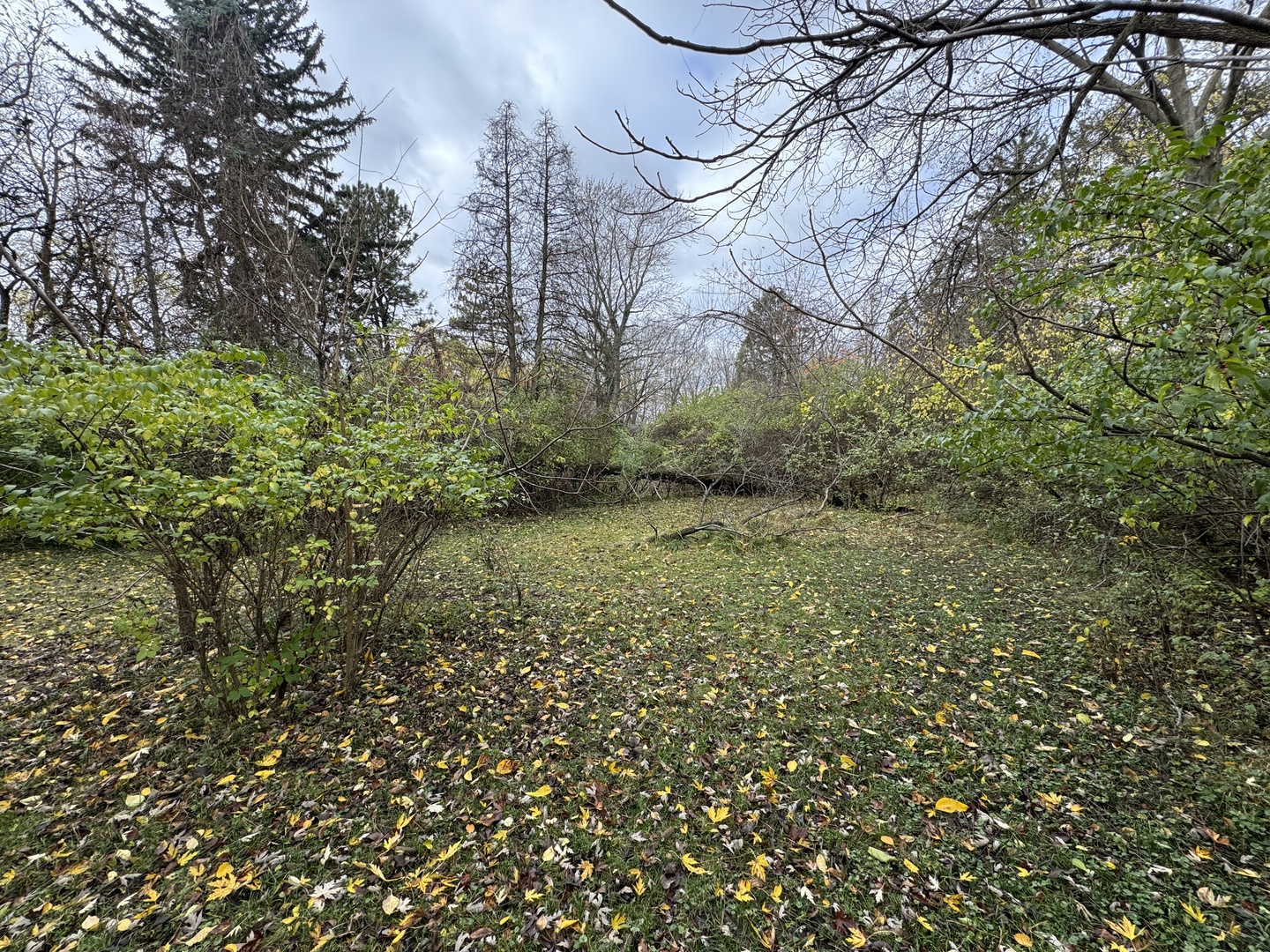 1301 N Lincoln Avenue Property Photo 4