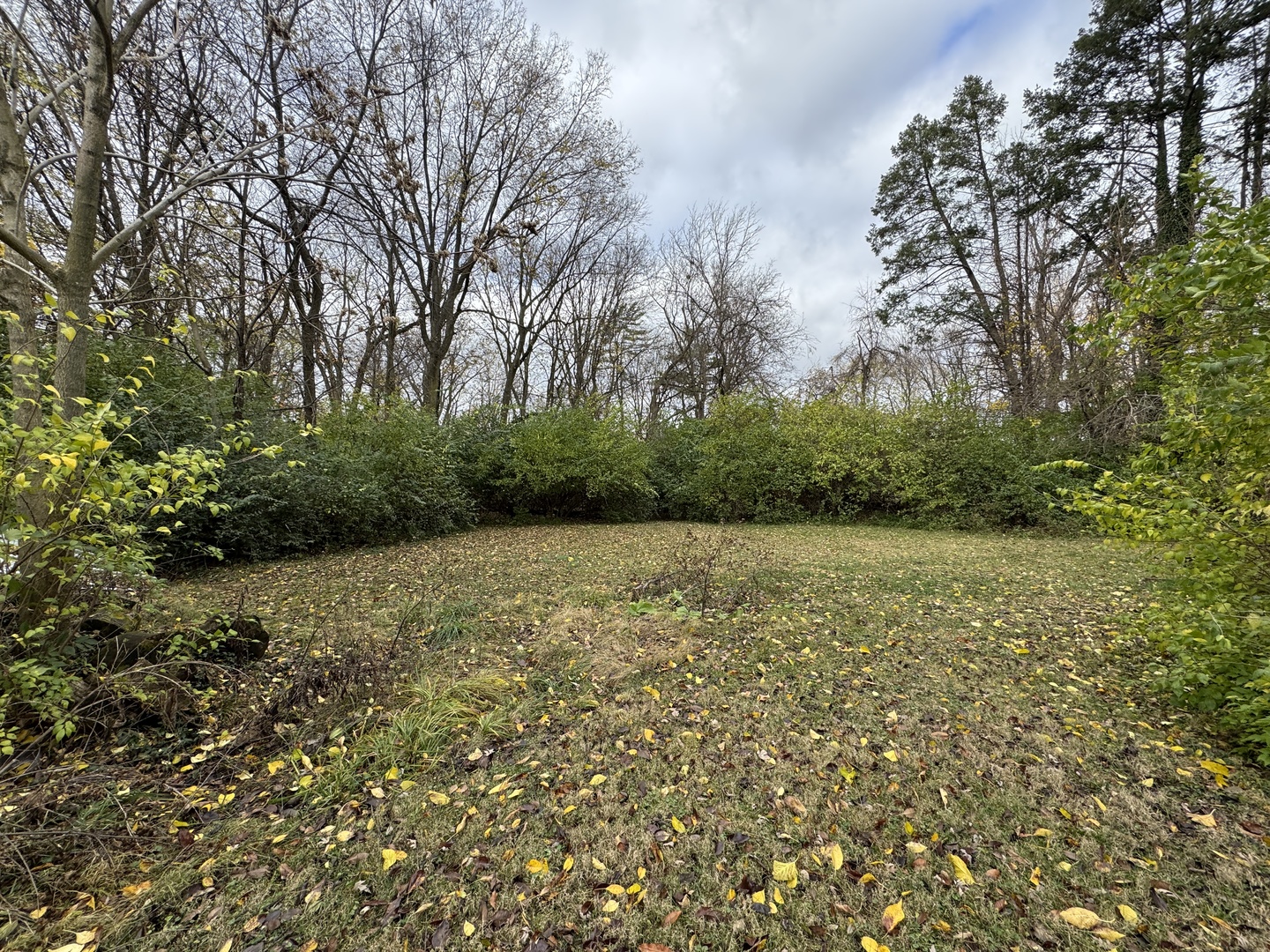 1301 N Lincoln Avenue Property Photo 5