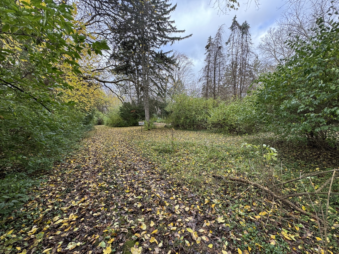 1301 N Lincoln Avenue Property Photo 10