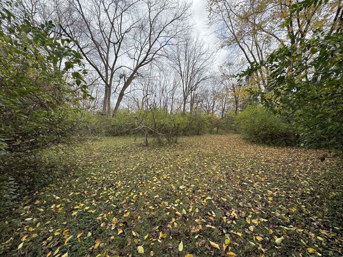 1301 N Lincoln Avenue Property Photo 11