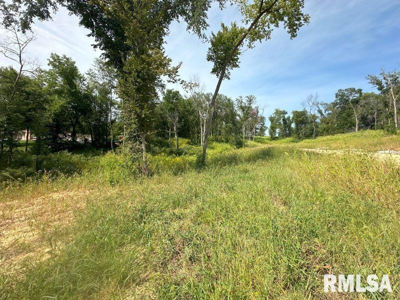 Lot 1 225th Street Property Photo 2
