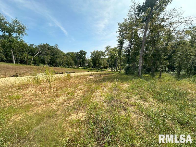 Lot 1 225th Street Property Photo 4