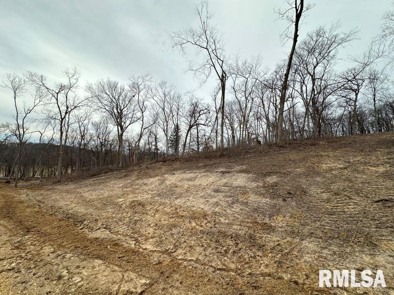 Lot 1 225th Street Property Photo 5