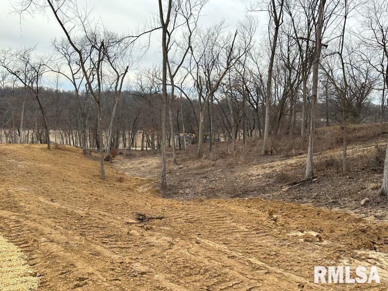 Lot 1 225th Street Property Photo 6