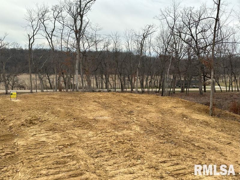 Lot 1 225th Street Property Photo 7