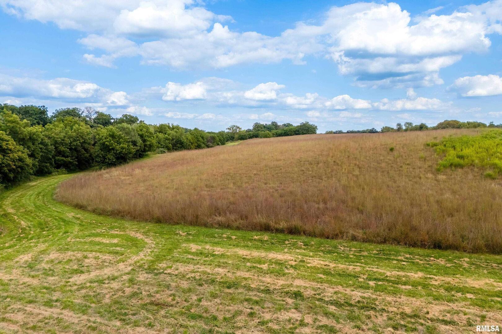5122 N 230th Street Property Photo 91