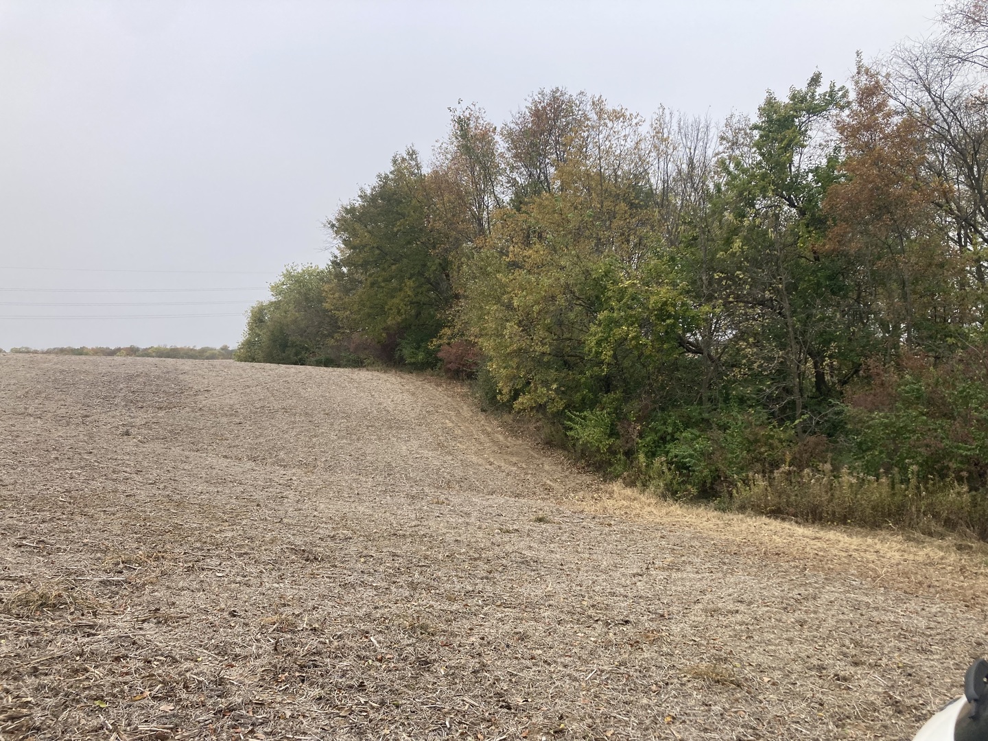 1808 106th Avenue Property Photo 20