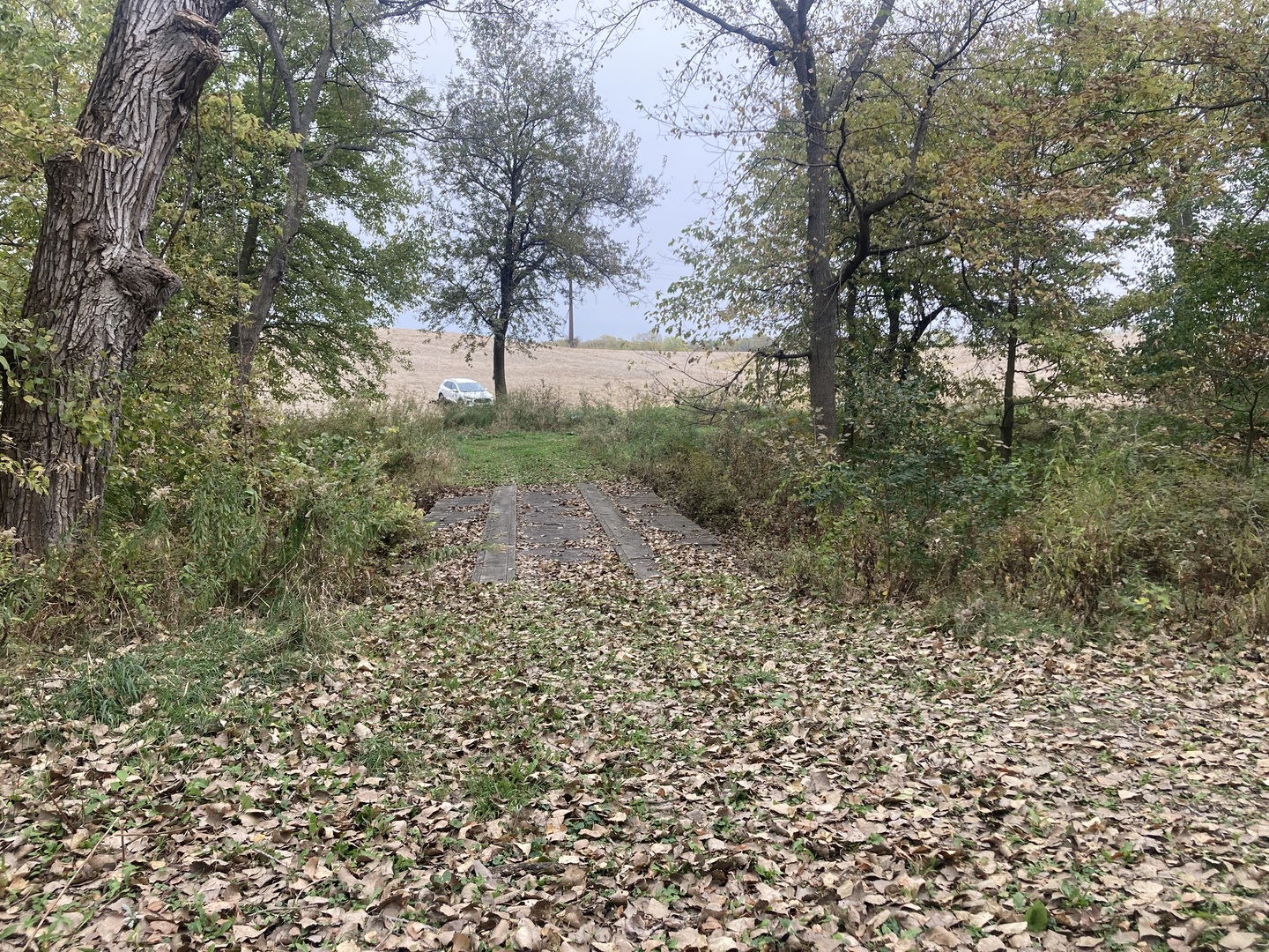 1808 106th Avenue Property Photo 22