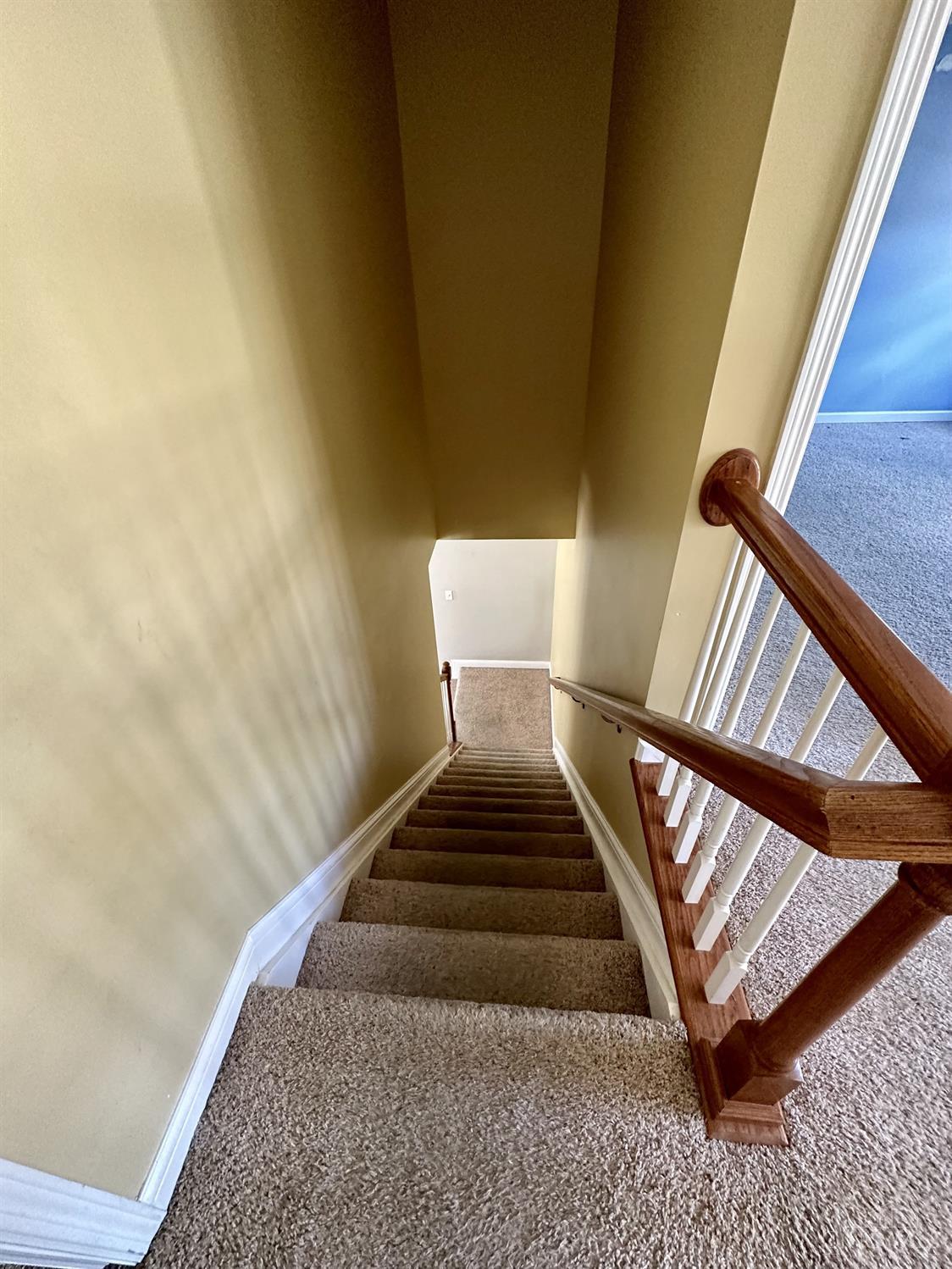 5089 Springleaf Drive Property Photo 77