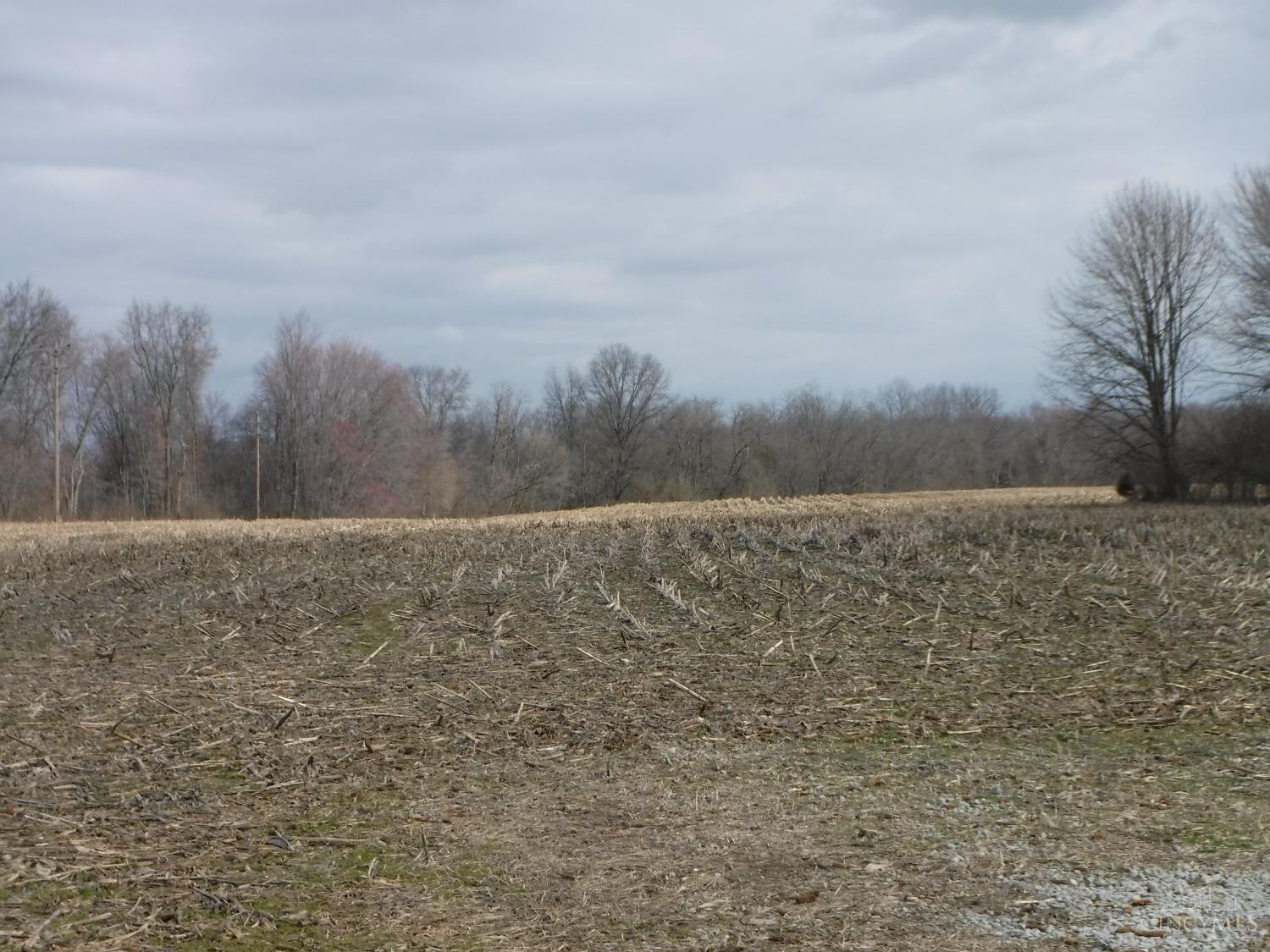 Spring Grove Road Property Photo 3
