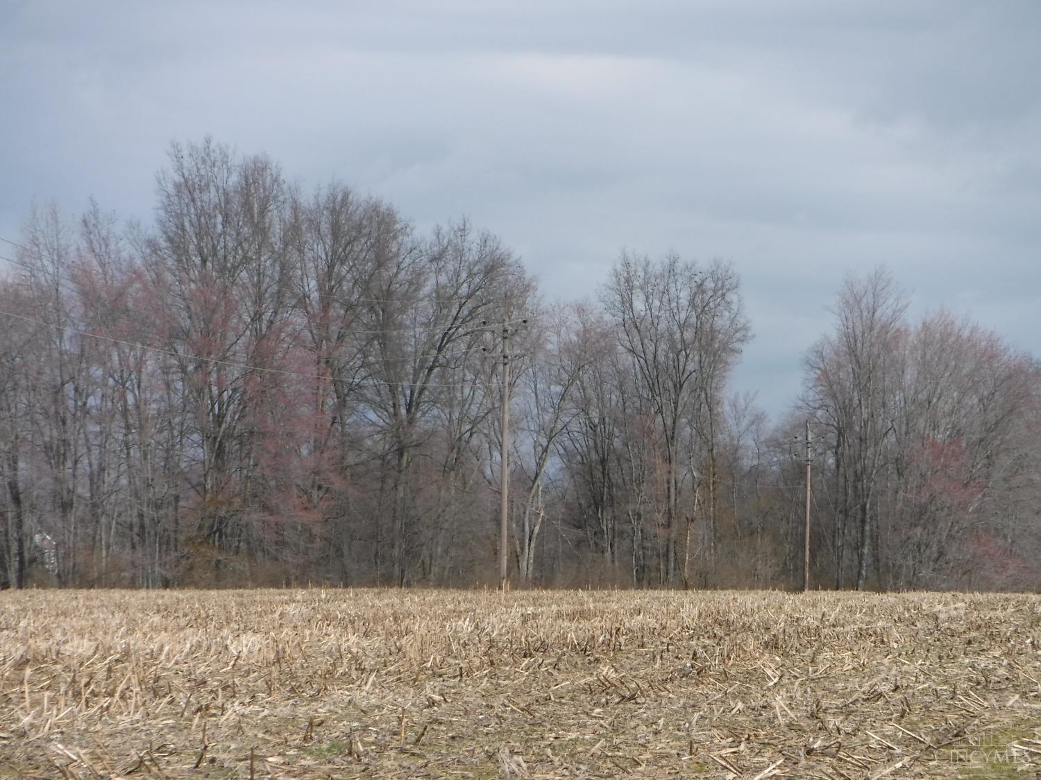 Spring Grove Road Property Photo 4