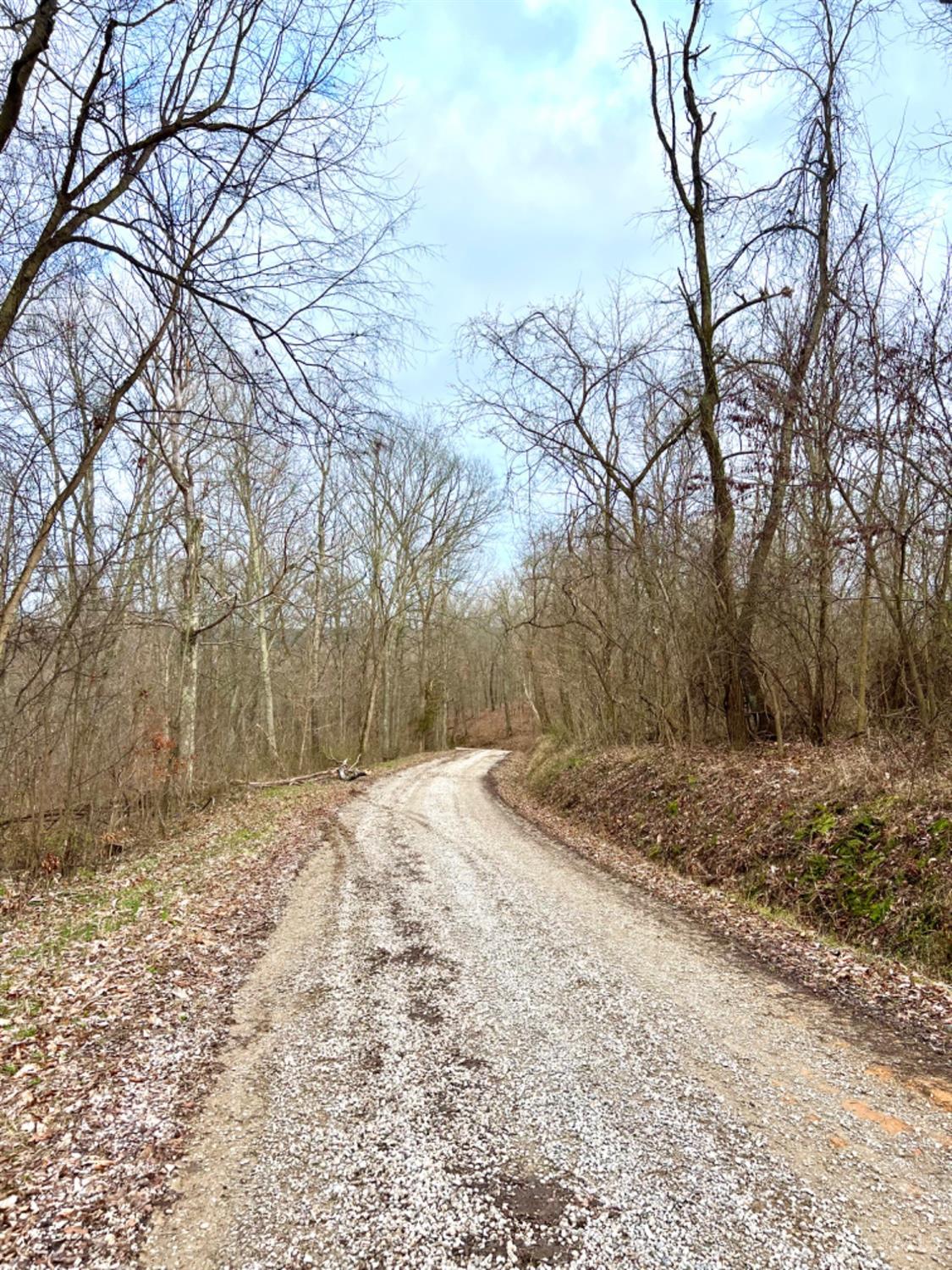 0 Left Fork Rd Property Photo 2