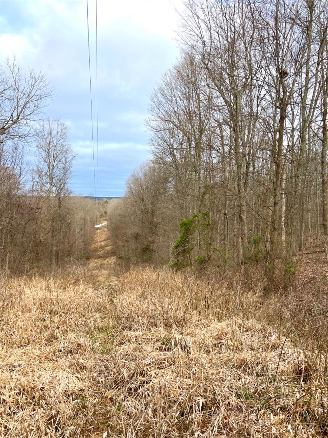 0 Left Fork Rd Property Photo 3