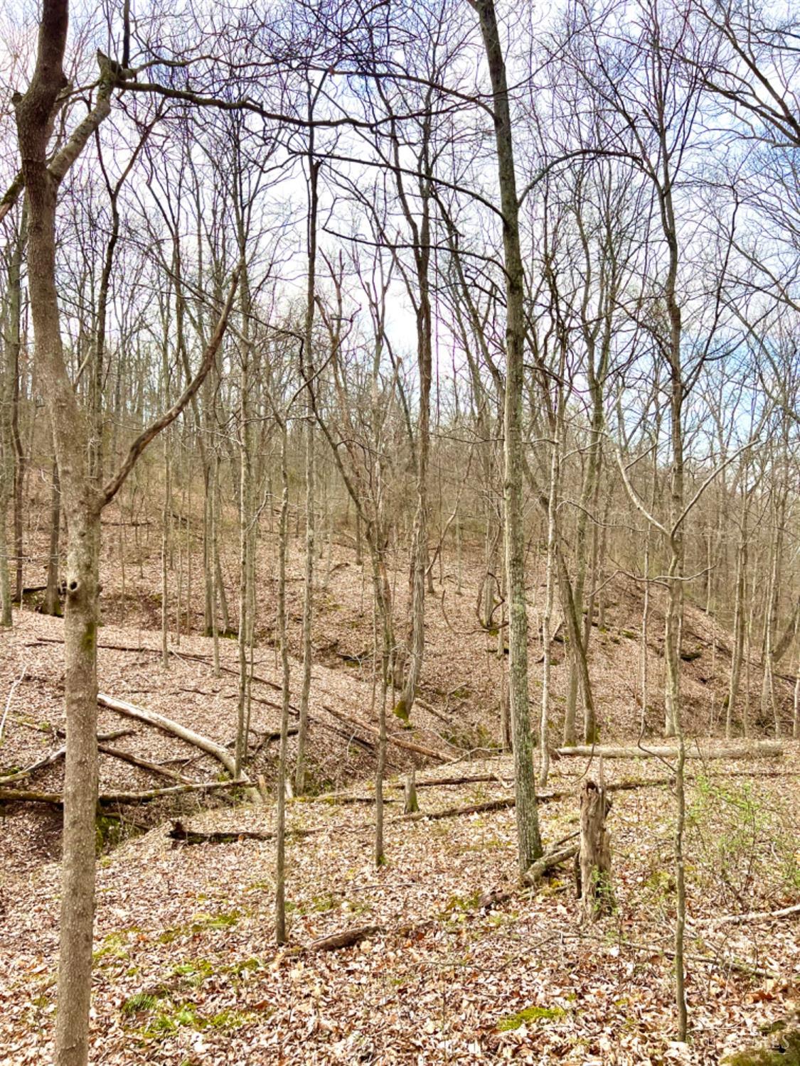 0 Left Fork Rd Property Photo 6