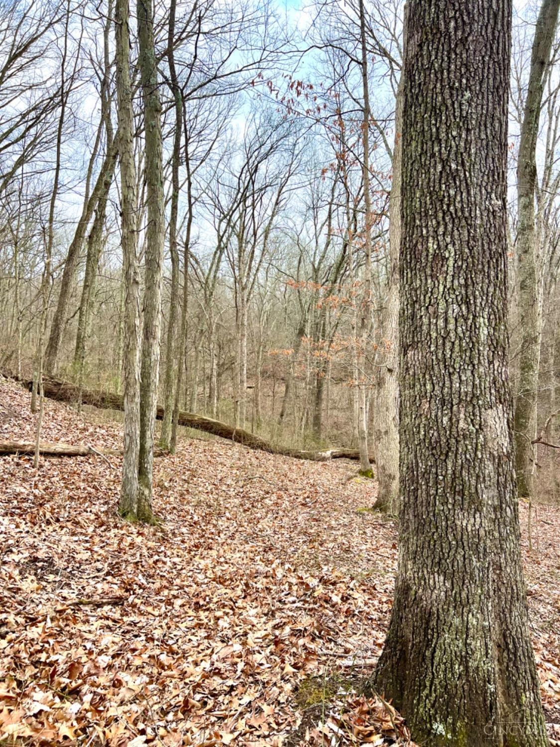 0 Left Fork Rd Property Photo 27