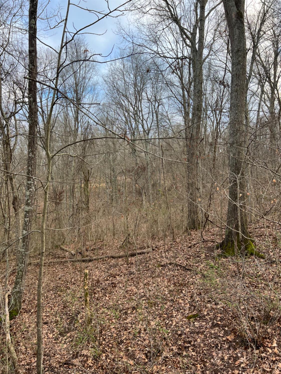 0 Left Fork Rd Property Photo 41