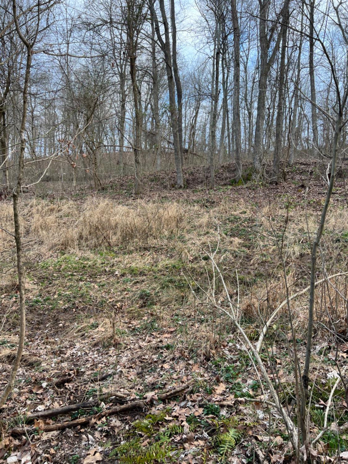 0 Left Fork Rd Property Photo 46