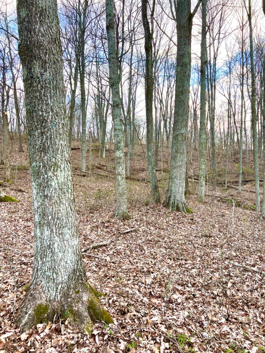 0 Left Fork Rd Property Photo 47