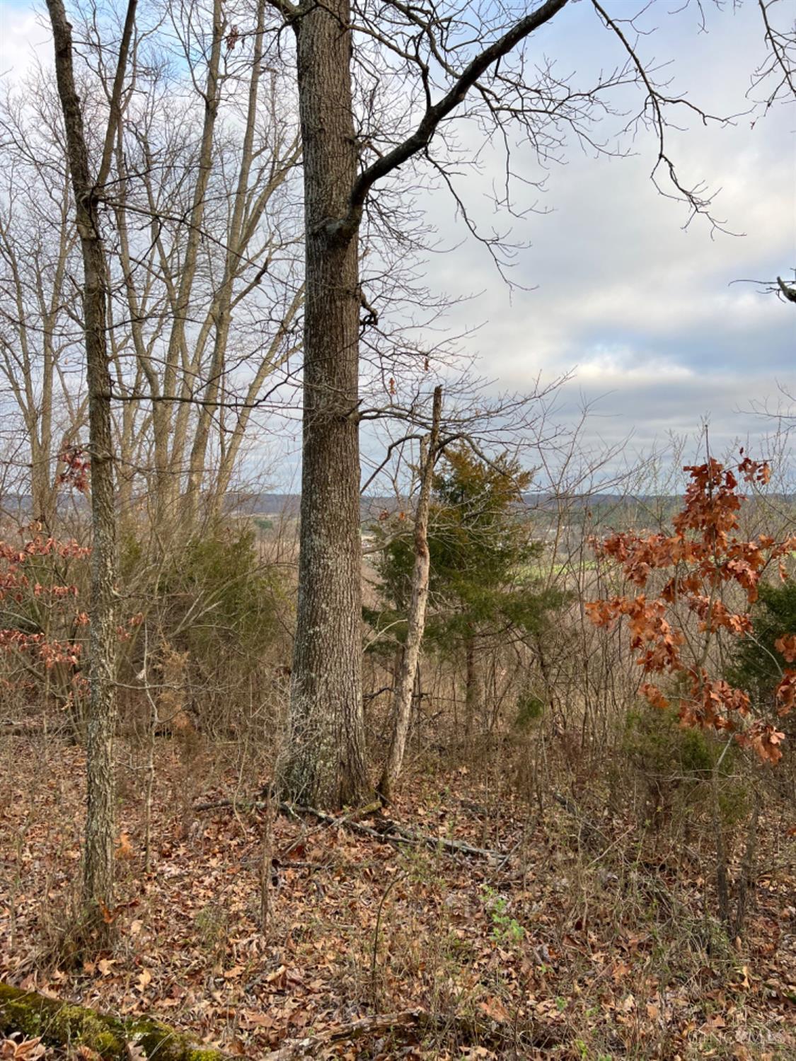 0 Left Fork Rd Property Photo 53