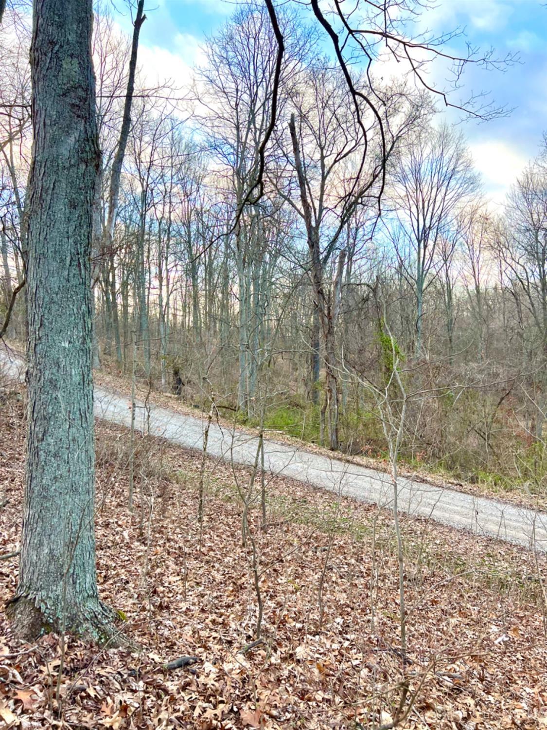 0 Left Fork Rd Property Photo 59