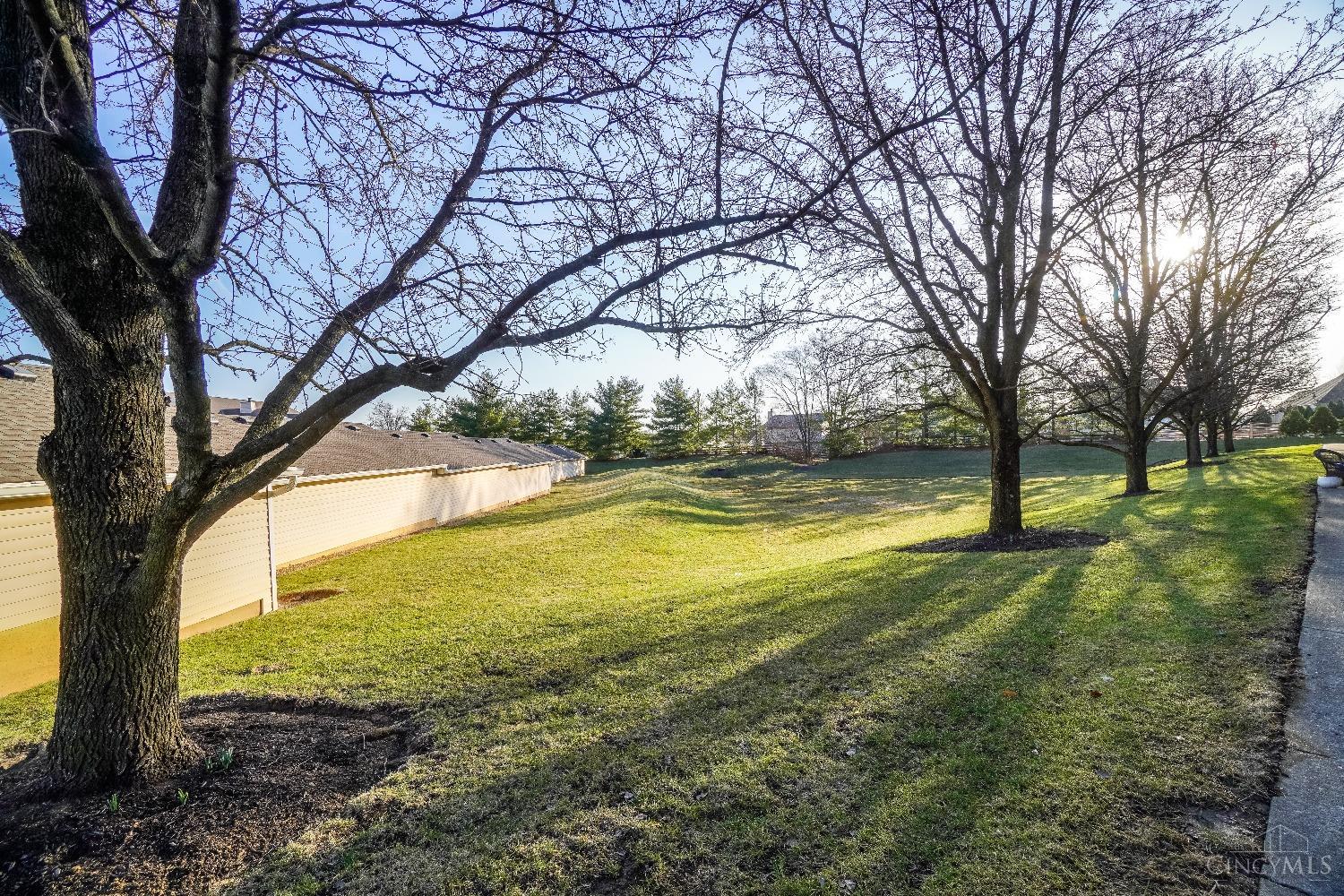 12160 Regency Run Ct Property Photo 29