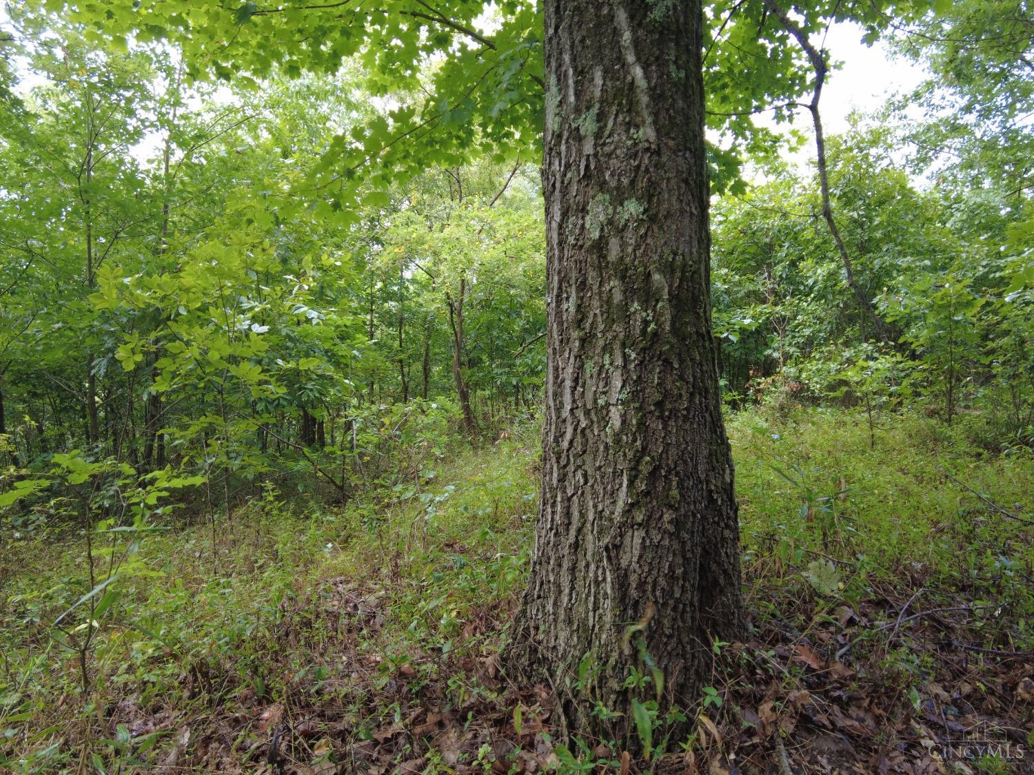 159 Twin Valley Rd Property Photo 4