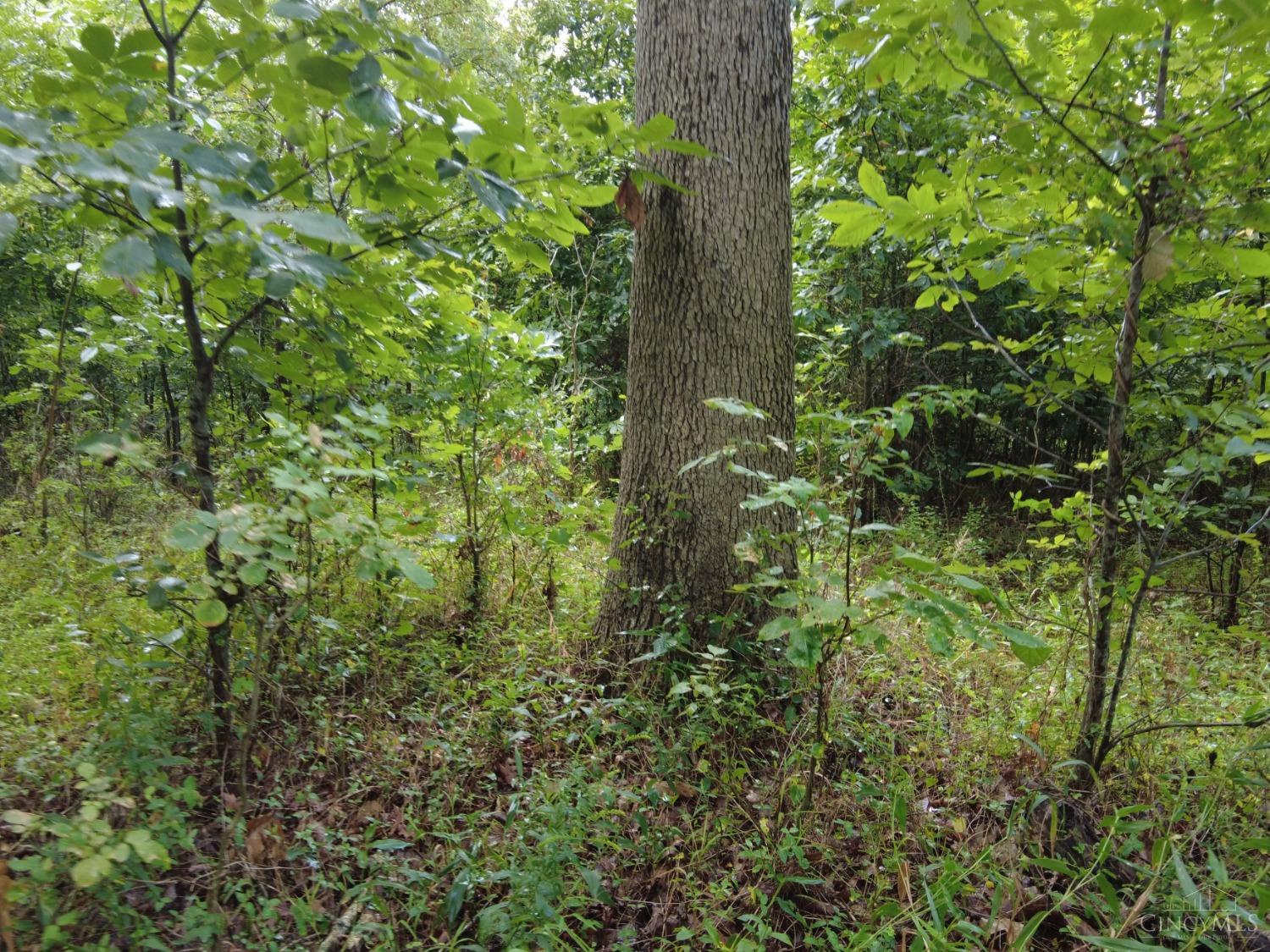 159 Twin Valley Rd Property Photo 5