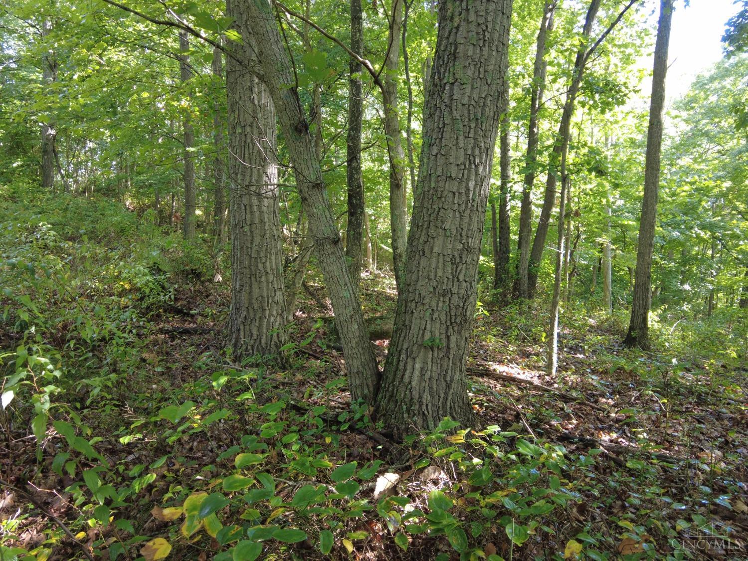 159 Twin Valley Rd Property Photo 13