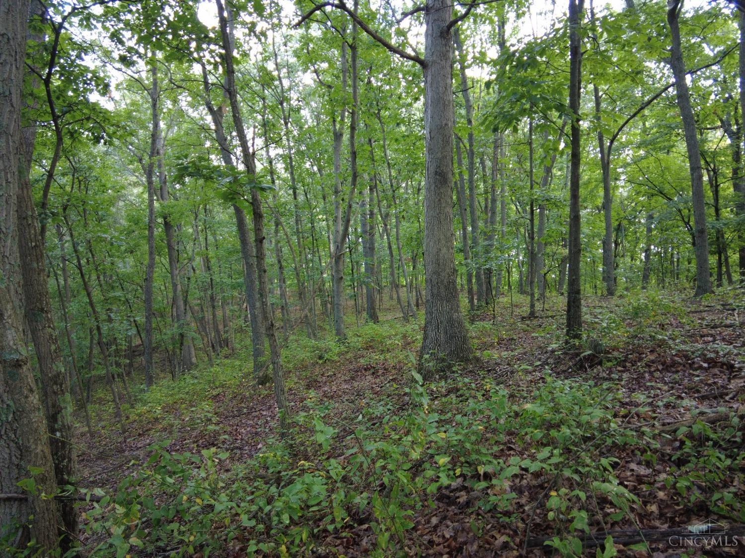 159 Twin Valley Rd Property Photo 17