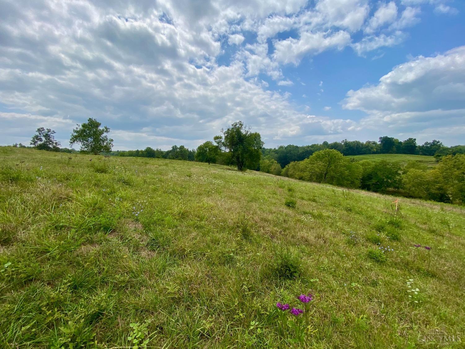 10242 Hickory Ridge Rd Property Photo 24