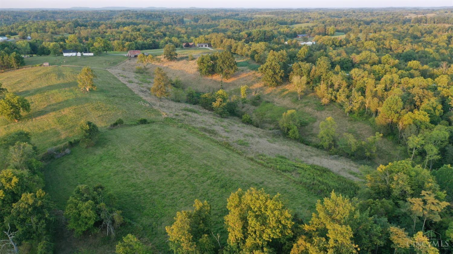 10242 Hickory Ridge Rd Property Photo 28