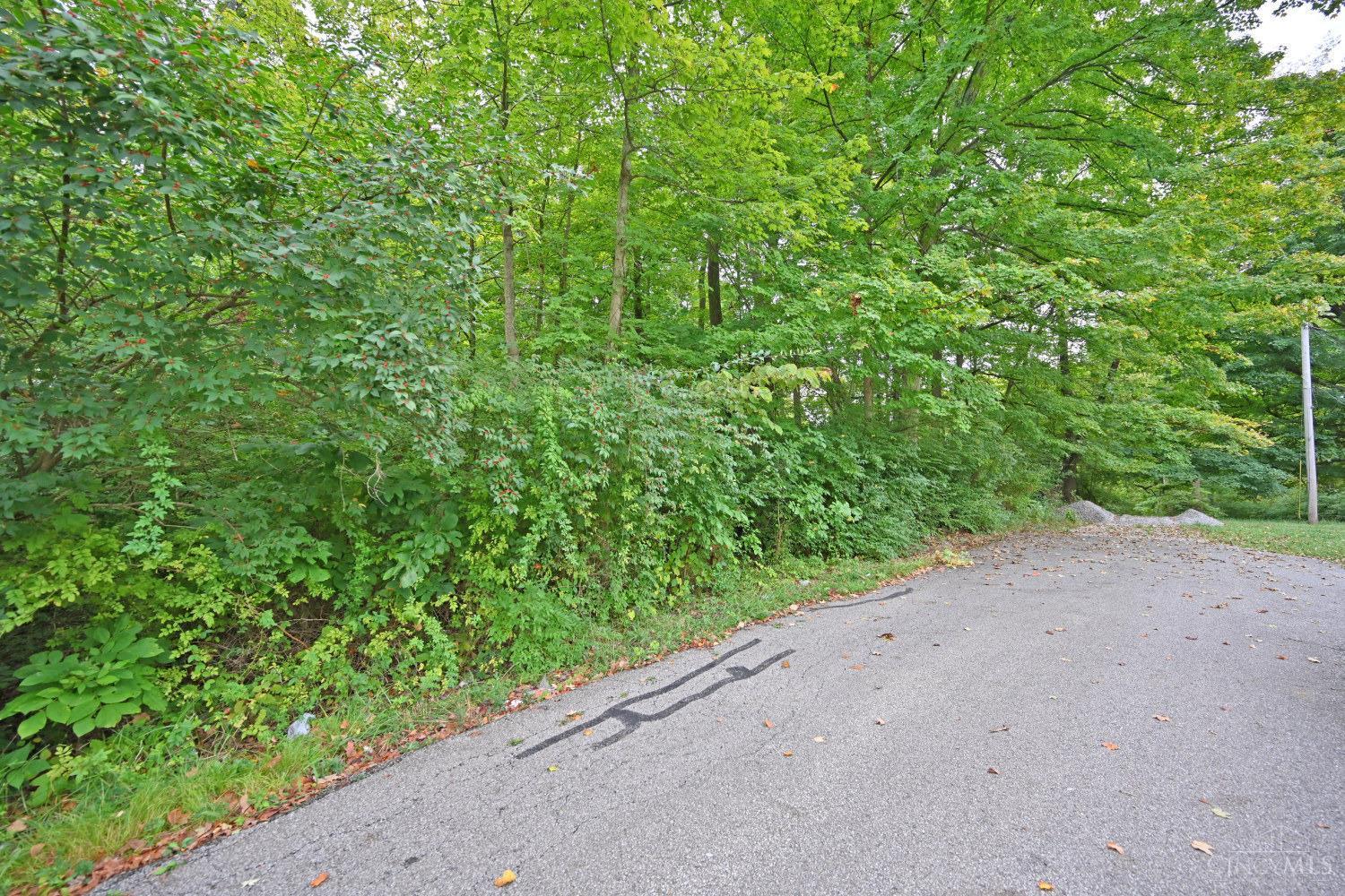 0 Locust Dr Property Photo 12