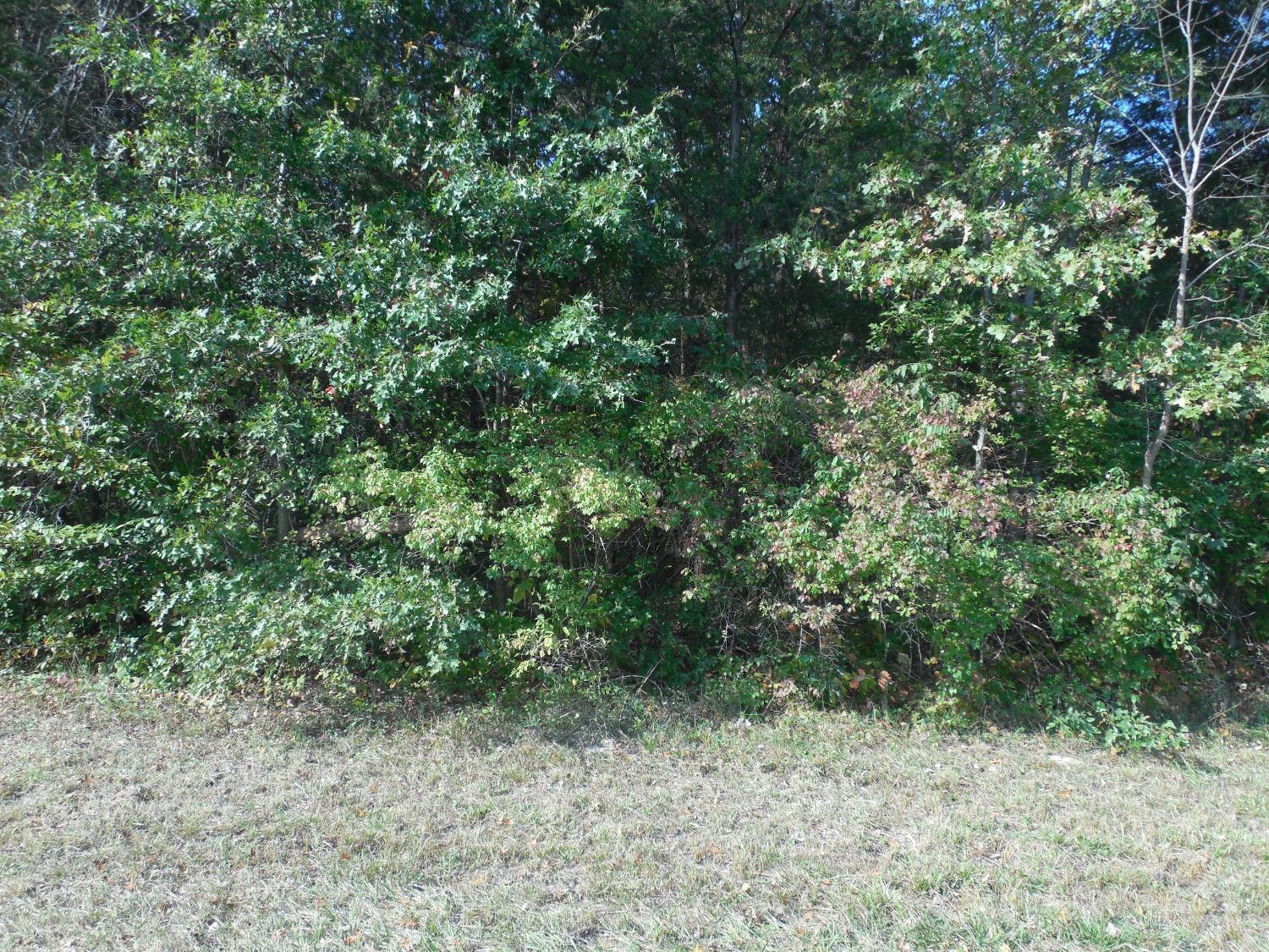 5000 St Rt 132 Property Photo 4
