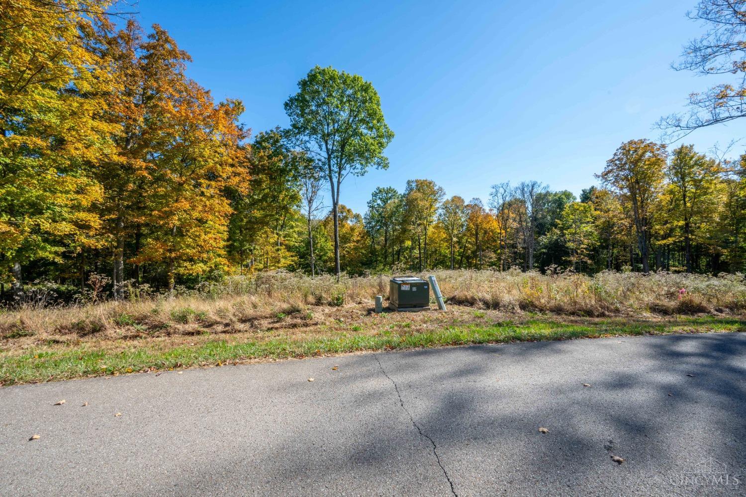 3976 Merwin Farms Dr Property Photo 4